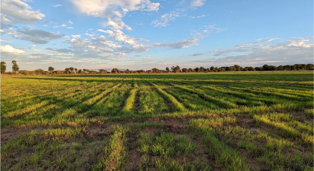 farm field and climate