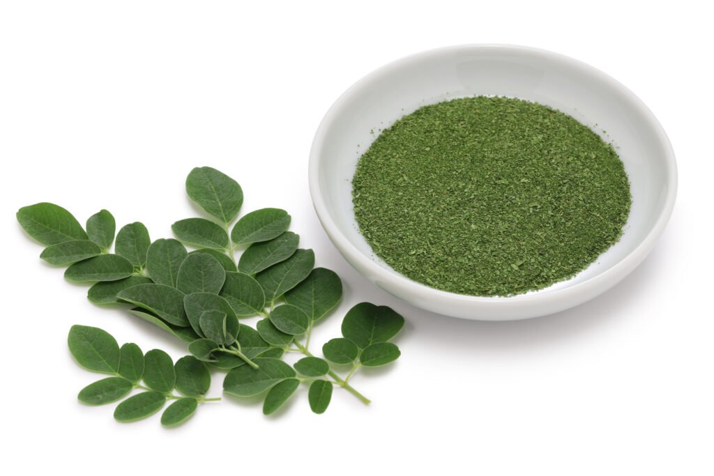 Moringa leaves and powder