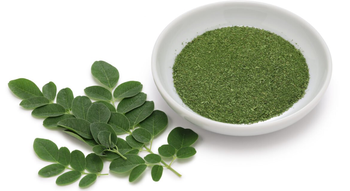 Moringa leaves and powder